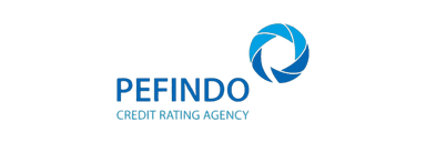 PEFINDO PEFINDO